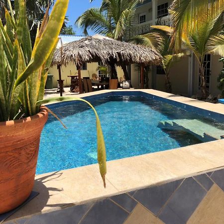 My Own Paradise Resort Bonaire كراليندايك المظهر الخارجي الصورة