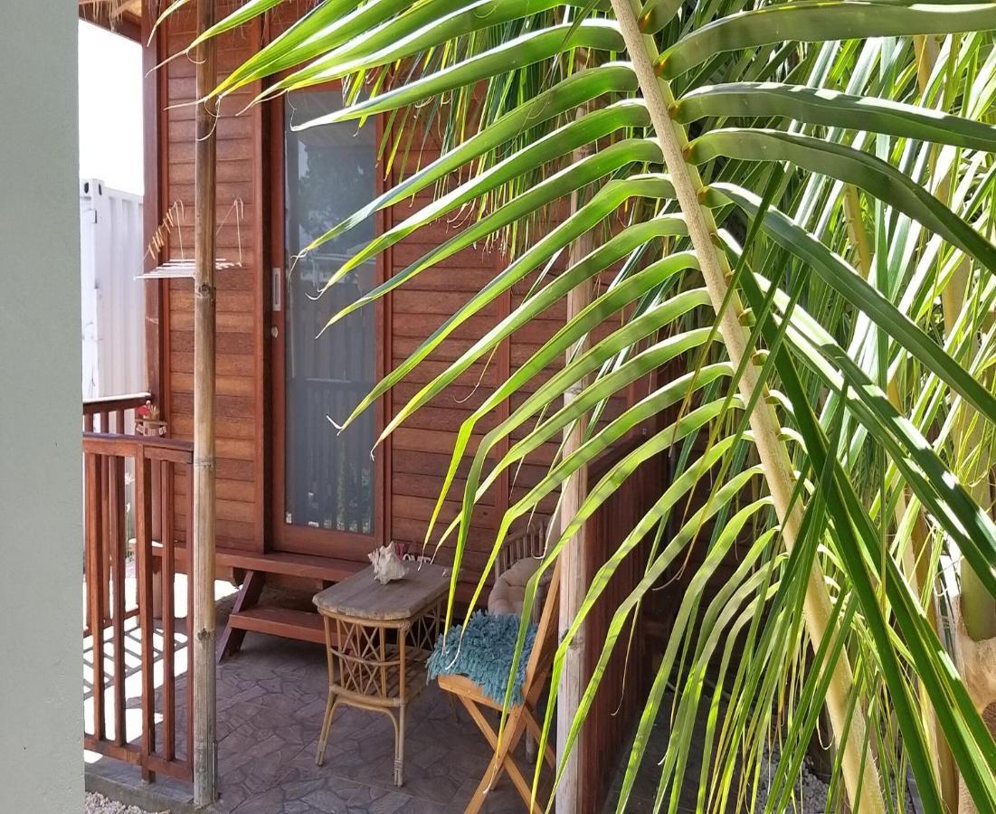 My Own Paradise Resort Bonaire كراليندايك المظهر الخارجي الصورة