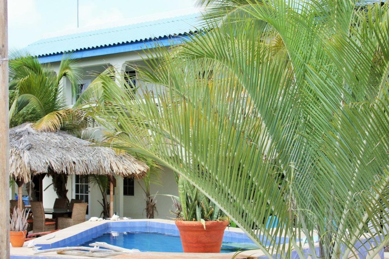 My Own Paradise Resort Bonaire كراليندايك المظهر الخارجي الصورة